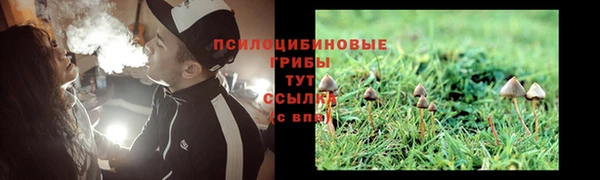 MDMA Дмитров