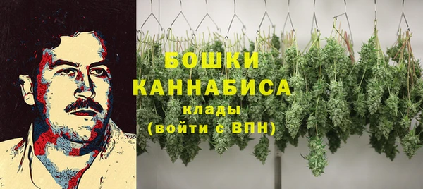 PSILOCYBIN Ельня