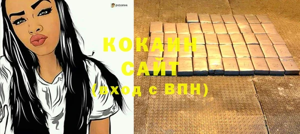 дурь Гусев