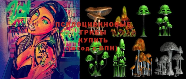 PSILOCYBIN Ельня