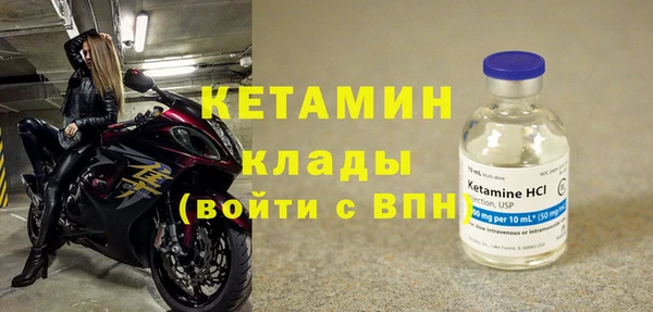 PSILOCYBIN Ельня