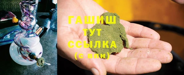 PSILOCYBIN Ельня