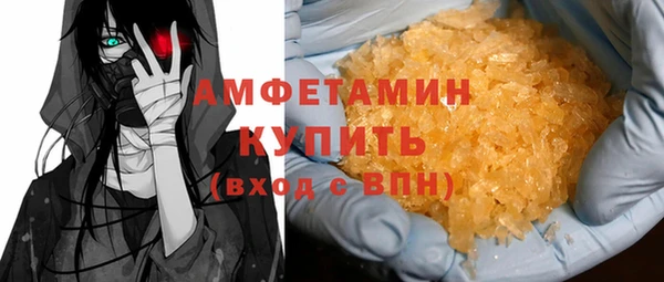 PSILOCYBIN Ельня