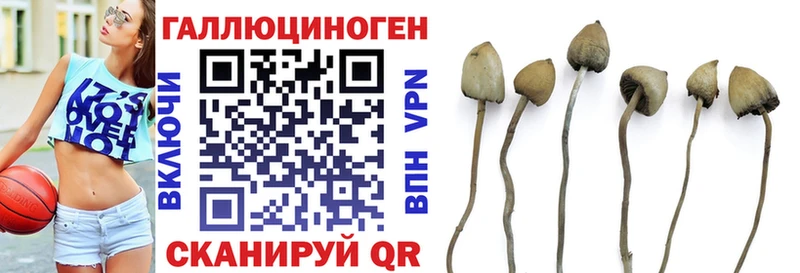 Псилоцибиновые грибы мухоморы гидра Нижневартовск